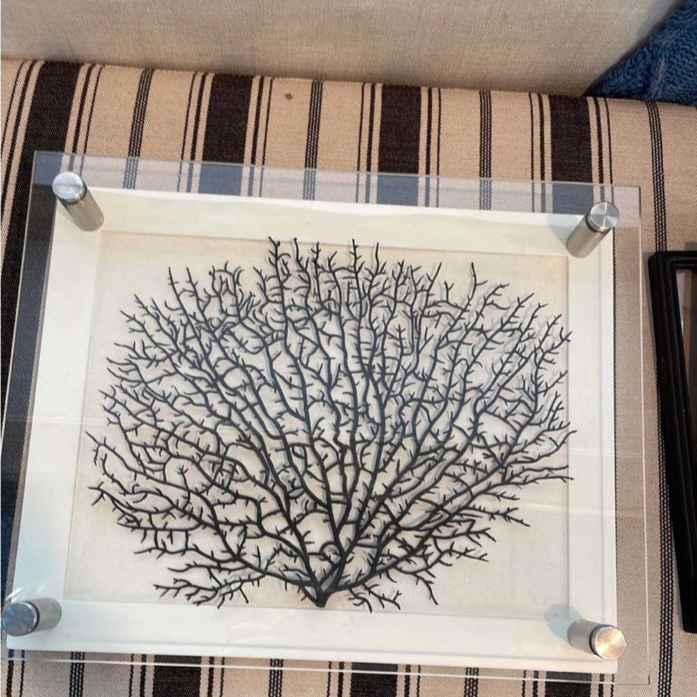 Pottery Barn Black Fan shadow box art coral